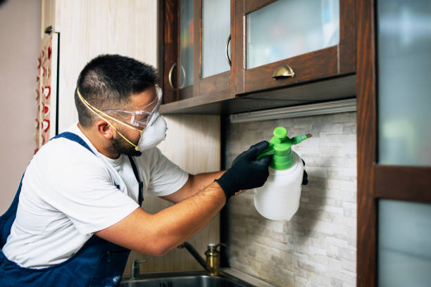 Best Flea Control Services  in Fort Calhoun, NE