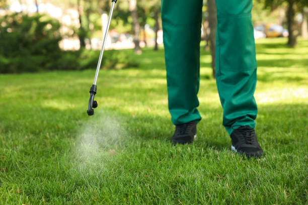 Professional Pest Control in Fort Calhoun, NE