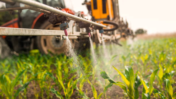 Best Mosquito Control Services  in Fort Calhoun, NE